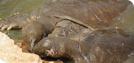 Alexander-Stream National Park 