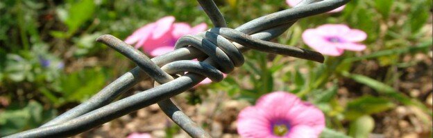 The Holocaust Memorial Day