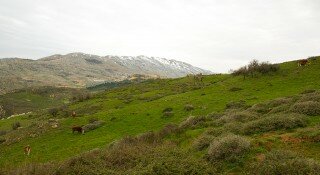 Mount Hermon